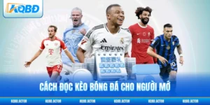 Cách Đọc Kèo Bóng Đá Cho Người Mới - Bí Quyết Thắng